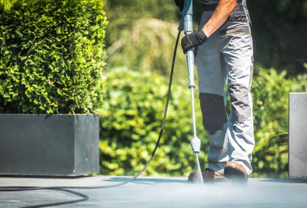 Best Soft Washing for Delicate Surfaces in Hurricane, WV